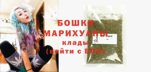 спиды Богородицк
