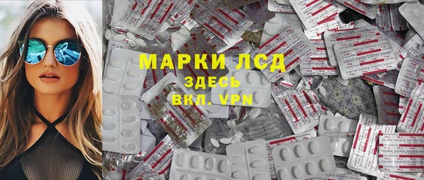 гидра Богданович