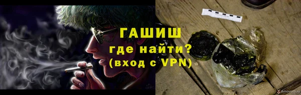 спиды Богородицк