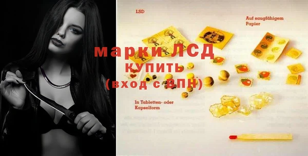 гидра Богданович