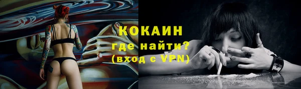 гидра Богданович