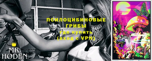 спиды Богородицк