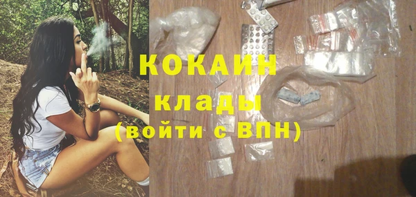 гидра Богданович