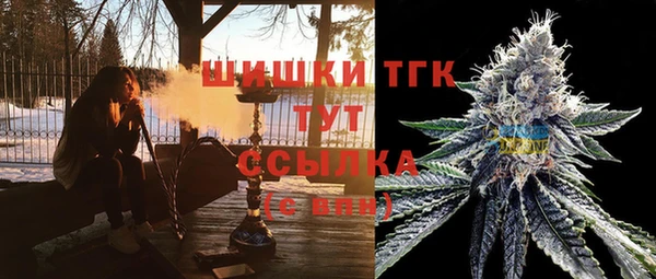 спиды Богородицк