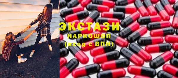 гидра Богданович