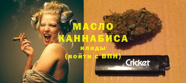 спиды Богородицк