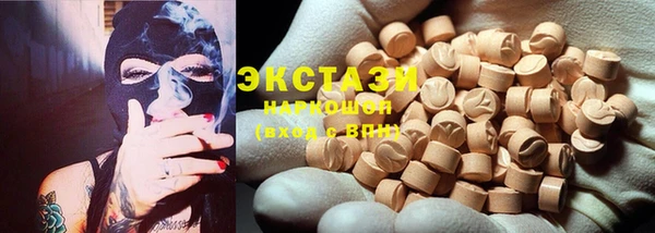 гидра Богданович