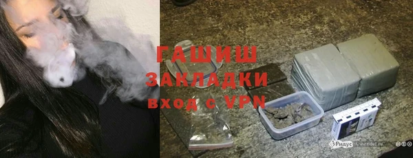 гидра Богданович
