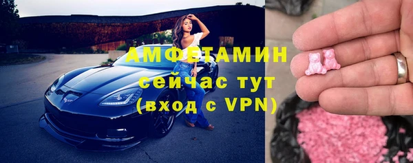 спиды Богородицк