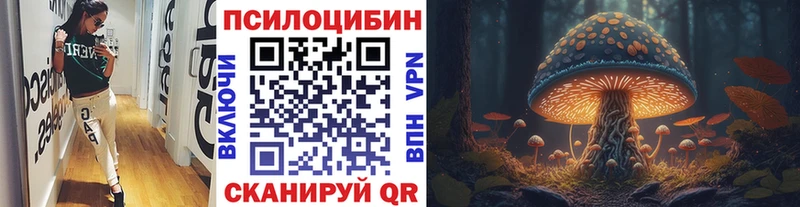 где найти наркотики  Златоуст  Псилоцибиновые грибы Magic Shrooms 